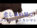 悲しみの果て/THE ELEPHANT KASHIMASHI【Acoustic cover・Wonderful Japanese song】
