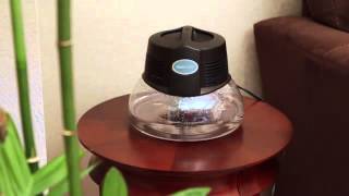Rainbow Vacuum - New Rainmate