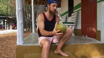 How to: Easily Open a Coconut without Tools