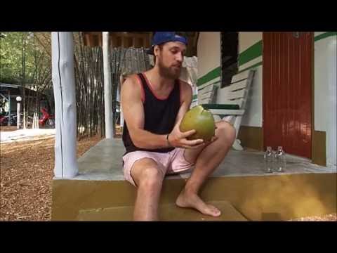 How to: Easily Open a Coconut without Tools