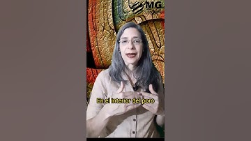 ¿Distingues las reacciones homogéneas de las heterogéneas?