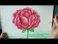 How to draw rose with crayons |  easy drawing for beginners