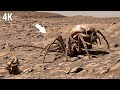 Perseverance Rover Latest Images SOL 1577 | Mars In 4K | Mars 4K | Mars Rover: Mars 4K Video