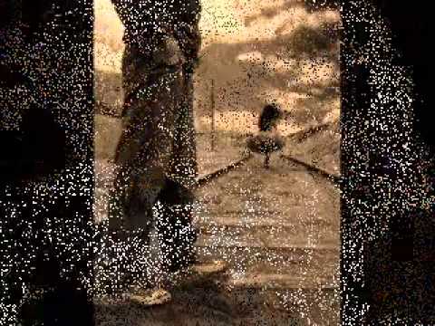 una canzone per te vasco rossi - YouTube