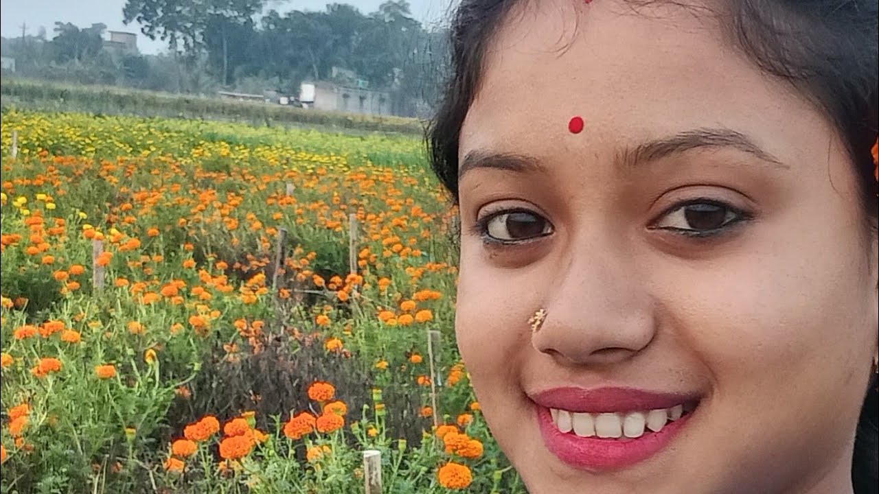 চলে এসো বন্ধুরা গল্প করি