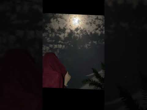 الا صبري يانظر عيني عليك تركي الشراري تركي الشراري 