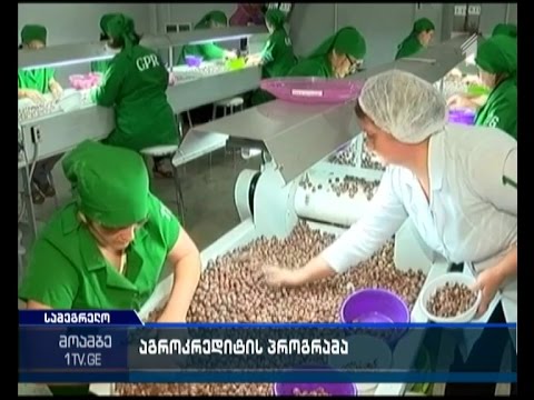 მედიატური სამეგრელო-ზემო სვანეთში