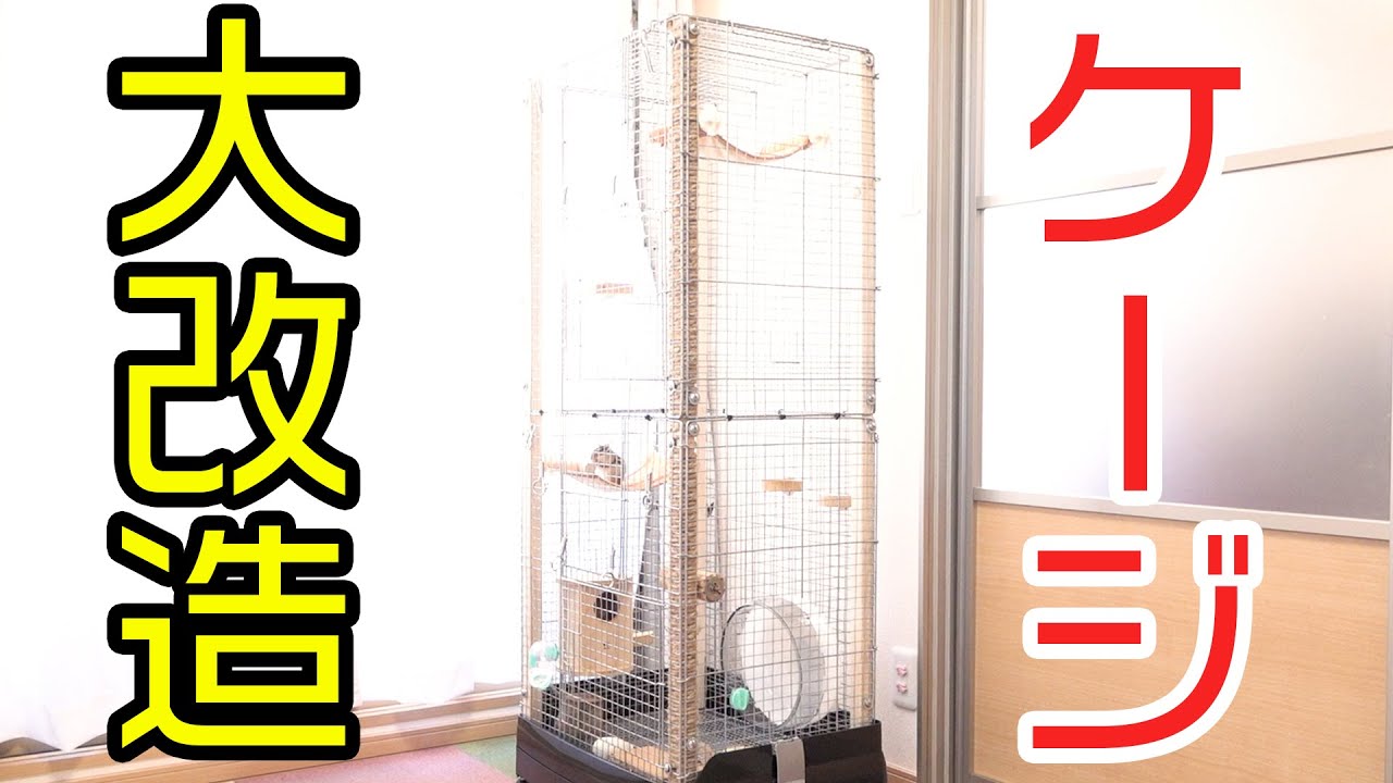 増築】シマリスのケージの高さを2倍に大改造するぞ！ - YouTube