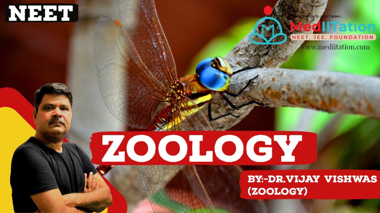 ZOOLOGY CRASH COURSE3 lectures for NEET UG 2021 I Animal