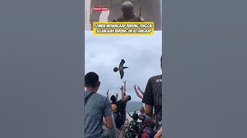 Keseruan Para Anggota Ini Ketika Menangkap Burung‼️#burung #tnial #marinir #viral