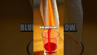 Capillary Color Sprint: A Home Water Wonder