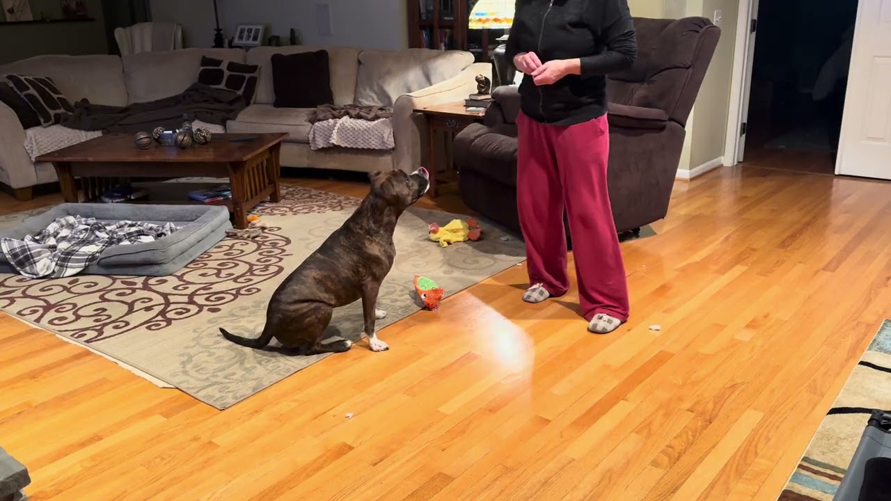 2/20/26 Its yer choice