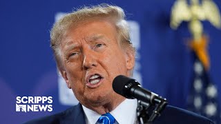 Trump not immune from prosecution, federal appeals court rules