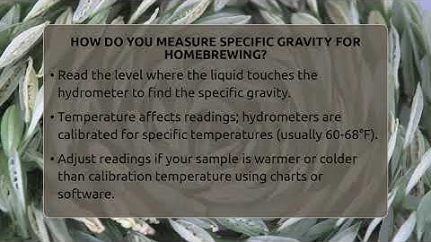 How Do You Measure Specific Gravity For Homebrewing? - The Pint Guy