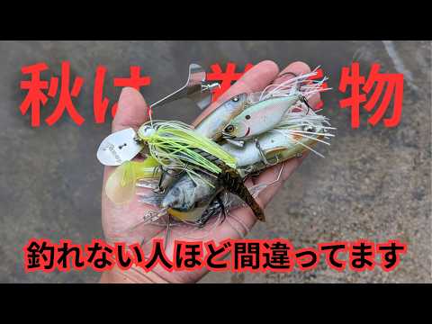Sakanatsuri Man - YouTube