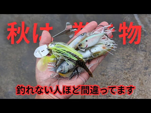 Super Easy! Everything You Need to Know About Spinnerbaits