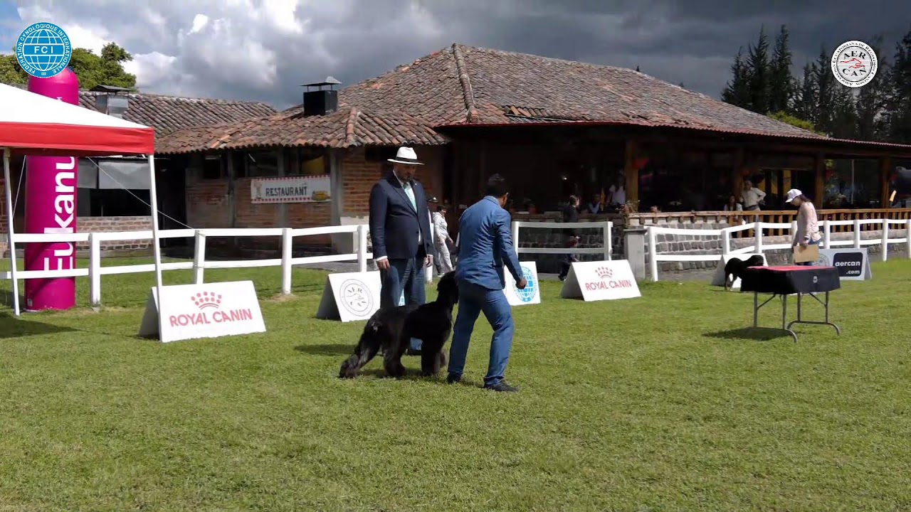 Exposición domingo 22 de febrero Aercan