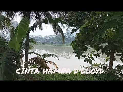 D'lloyd. Cinta Hampa cover by sodik @ALVINMUSIC