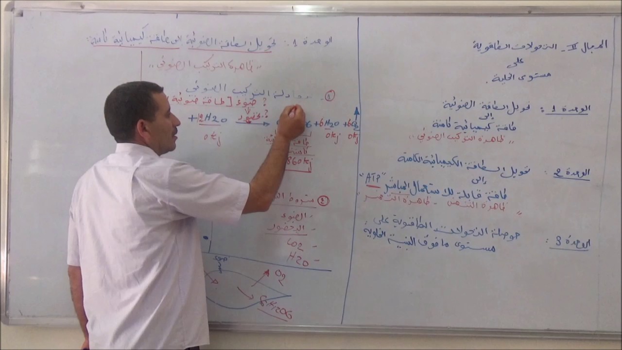 المجال 2 : التركيب الضوئي الجزء 1