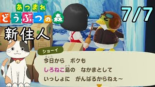 ねこ王子　ゲーム王国の配信のサムネイル画像