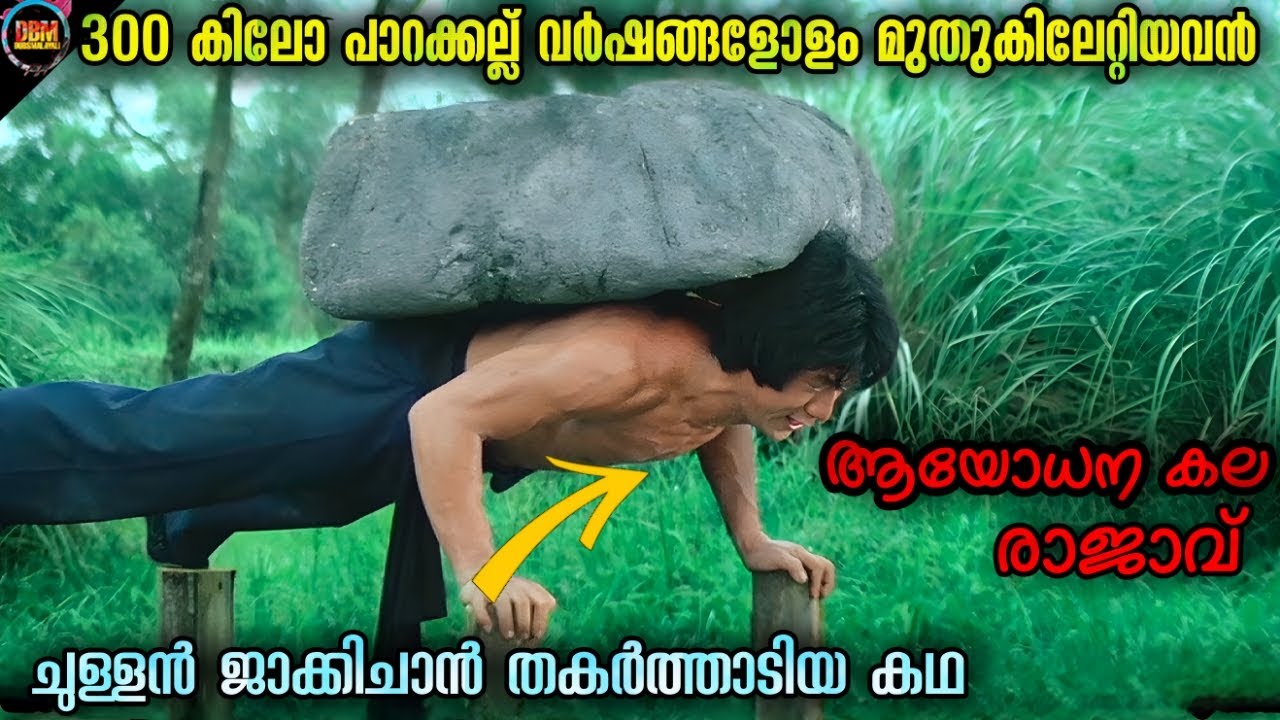 പലരും അവനെ മണ്ടൻ എന്ന് വിളിച്ചു. പക്ഷേ.Dubsmalayali-Movie Explained Malayalam-@DBMF