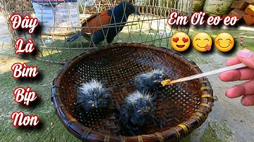 Gia Đình Bìm Bịp Đón Thêm 3 Thành Viên Đặc Biệt / Quế Nghịch