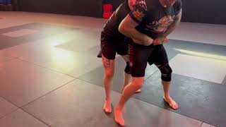 6 Leglock entries from standing!