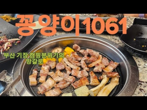 부산 기장 돼지고기 추천맛집 꽁양이1061/캠핑분위기의 방갈로/문경약돌돼지