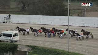 Vidéo de la course PMU PREMI VEDA