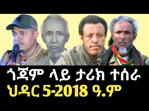 ጎጃም ላይ ታሪክ ተሰራ ጀግናው ፊታዉራሪ አዉደዉ አበሻ ማን ነው Amhara Zemene Kassie