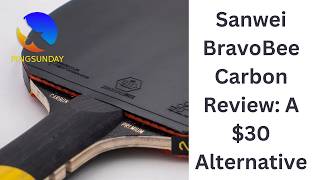 Sanwei BravoBee Carbon Review: A $30 Alternative to the STIGA Pro Carbon