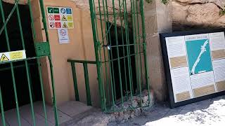 Malta Ghar Dalam Cave Today Lawrence Mast