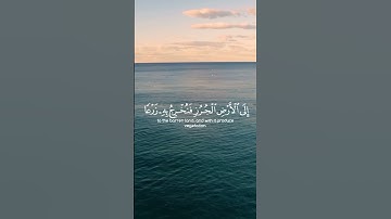ياسر الدوسري #quran #قرآن #راحة_نفسية #القران_الكريم #القرآن_الكريم #قران_كريم #تلاوة_خاشعة #تلاوة