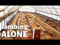 Why I've been lambing alone: Vlog 201