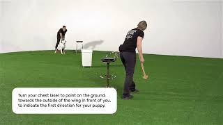 Agility Foundation skills - Lead changes at a distance with OneMind Dogs by OneMind Dogs 1,232 views 3 months ago 1 minute, 31 seconds