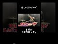 忙しい人のための『エゴロック』【すりぃ】