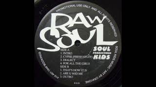 Raw Soul - For All The Girls (1995)