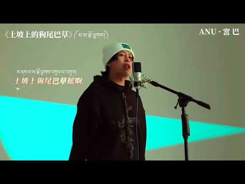 Tibetan New Song 2024 མ མ ས ལ གས ANU