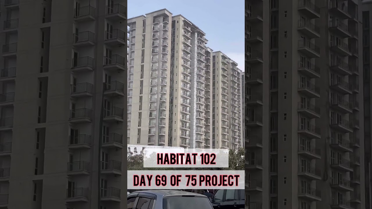 69-й день из 75 проектов