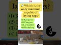 🦆 Which is the only mammal capable of laying eggs?