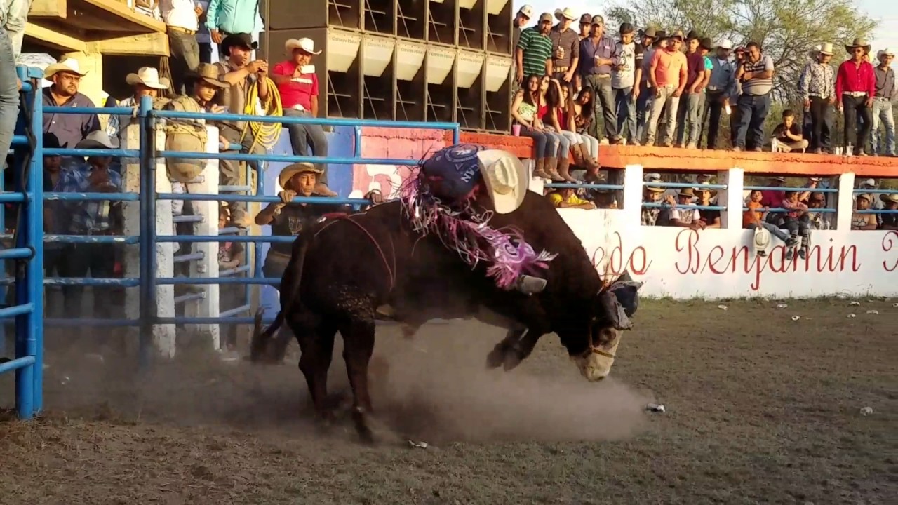 Jhony Robles vs El Hungaro de Rancho La Huerta free fonts