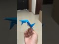 Flies 75 Feet! |Ruby Flight Test!