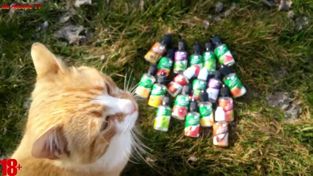 +18 Жидкость БЕСТСЕЛЛЕР from Safesmoking | интересная бюджетка