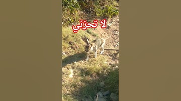 #راحة_نفسية #قران_كريم #تلاوة_خاشعة #الوضوح