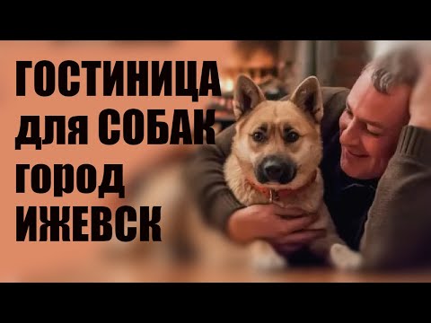 Гостиница для собак.