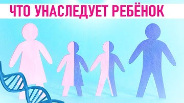 ЧТО ПЕРЕДАЕТСЯ ОТ МАМЫ А ЧТО ОТ ПАПЫ ДЕТЯМ  | Какие гены передаются детям от родителей
