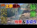 【土砂崩れ】災害現場で活躍する林業【伐倒＆玉切り】