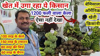Special organic farming/best farmer/many type organic farming/banana tomato chili brinjal वैरायटी