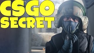 THE SECRET OF CS:GO