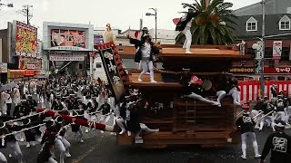 2年ぶり、だんじり駆ける　大阪・岸和田